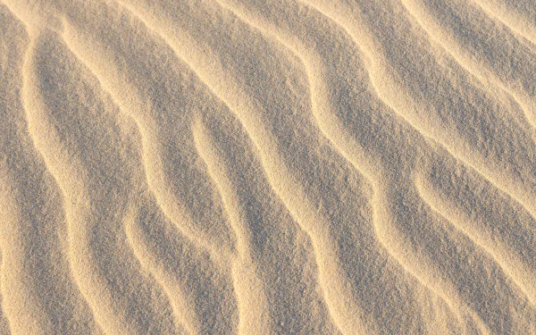 A breathtaking desert landscape under the sunlight, perfect as an HD desktop wallpaper.