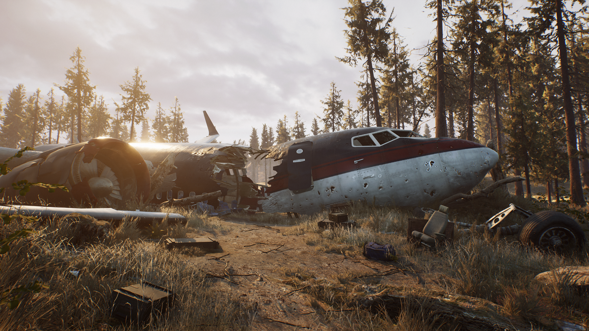 HD wallpaper featuring a crashed airplane in a forest at sunset from the game The Day Before for desktop background.