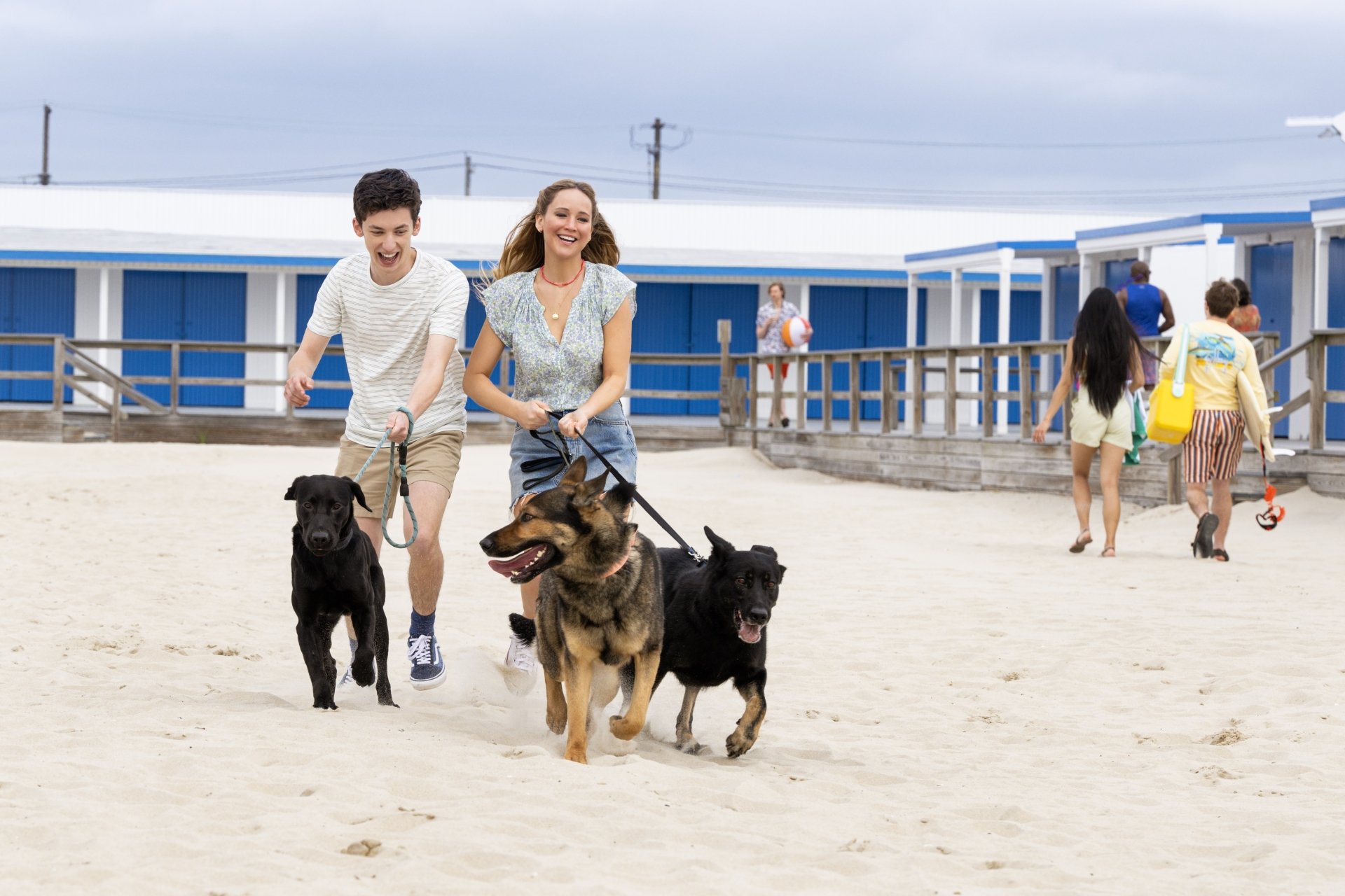 Cheerful couple running with their black dogs on a sandy beach, with beach huts in the background - 'No Hard Feelings' HD desktop wallpaper and background.