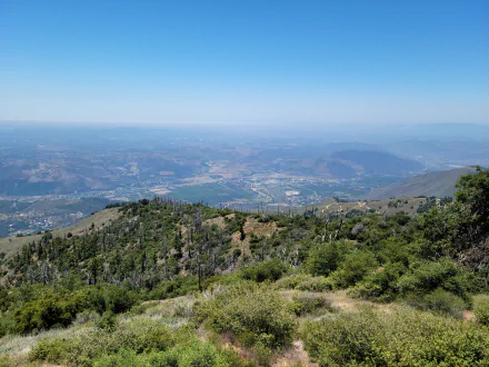 A vivid 8K Ultra HD landscape of Palomar Mountain in Southern California, showcasing lush greenery and expansive nature under a clear blue sky.