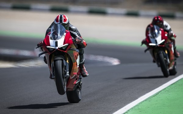 Two Ducati Panigale V4 motorcycles racing on a track, with the lead bike performing a wheelie, in an HD desktop wallpaper.