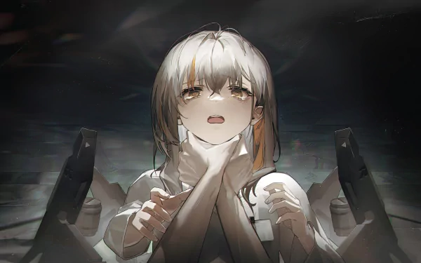 video game Punishing: Gray Raven HD Desktop Wallpaper | Background Image
