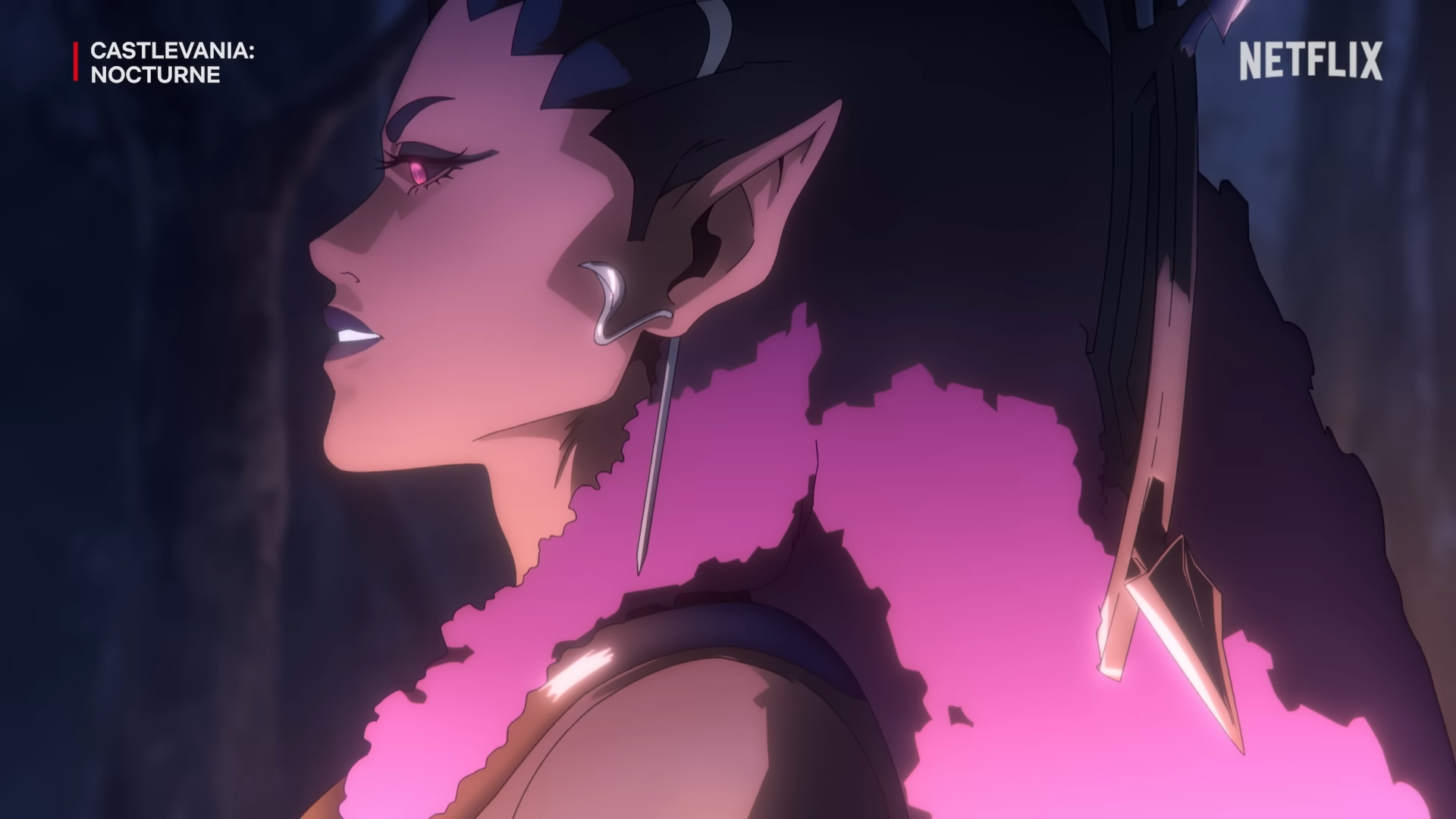 HD desktop wallpaper featuring a side profile of a character from Castlevania: Nocturne, highlighted with vibrant shades and dramatic lighting, with the Netflix logo in the corner.
