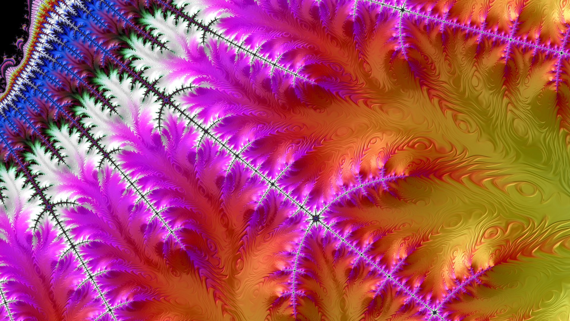 8k Trippy Psychedelic Fractal Wallpaper by Dr-Pen