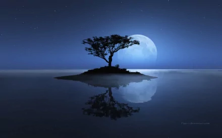 A tranquil night scene showcases a solitary tree on an island, reflecting beautifully in the water under a glowing moon and starry sky, enhancing the serene nature of the moment.