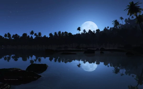 HD desktop wallpaper of a serene tropical beach at night, featuring silhouetted palm trees against a blue sky with a bright full moon reflecting on calm shore waters.