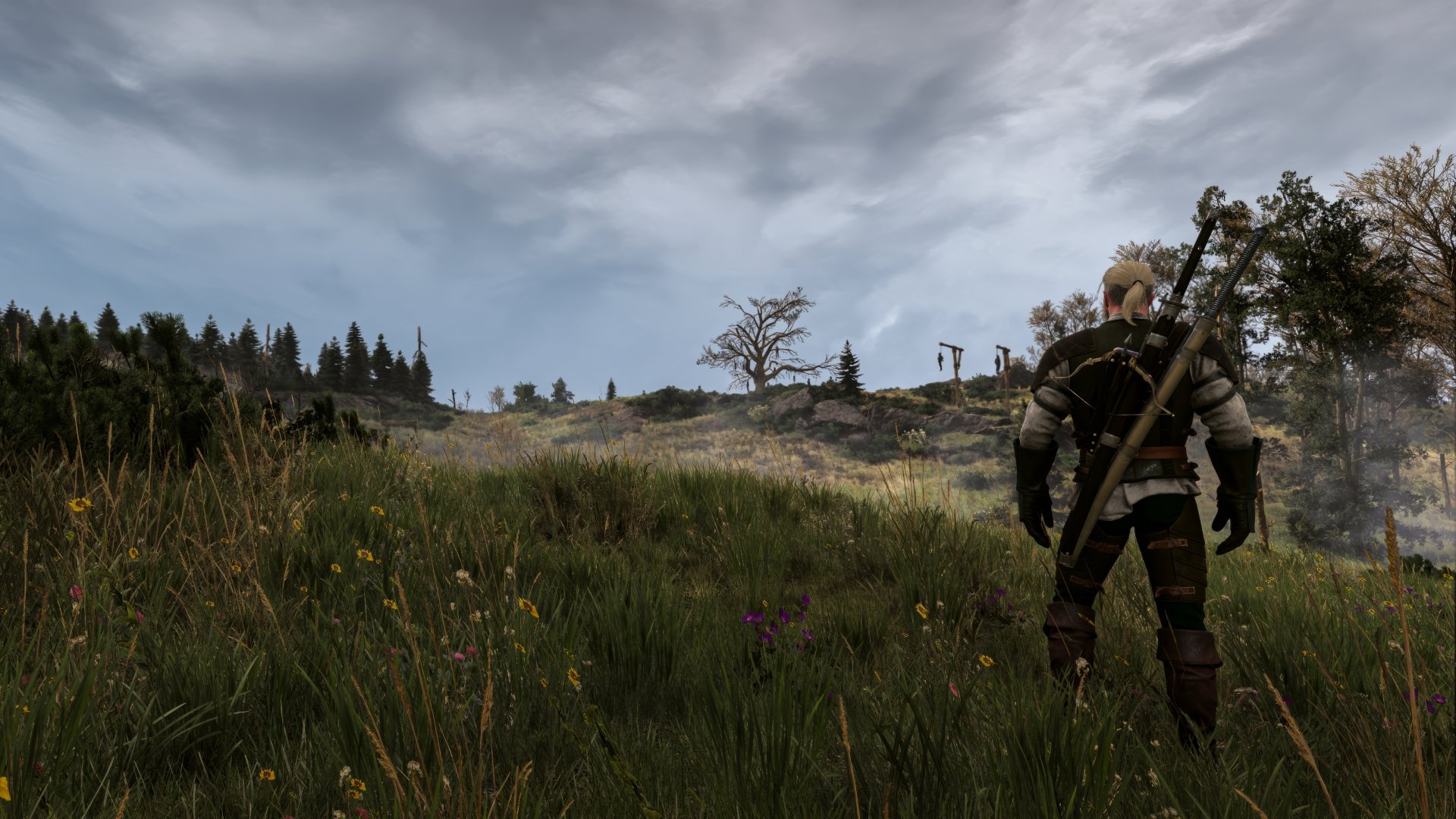 Download The Witcher The Witcher 3: Wild Hunt 4k Ultra HD Wallpaper