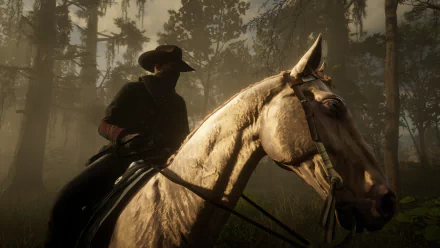  Red Dead Redemption 2