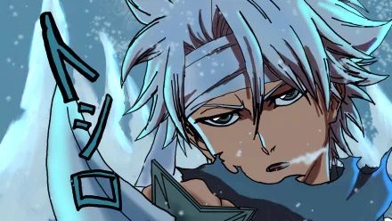  Tōshirō Hitsugaya