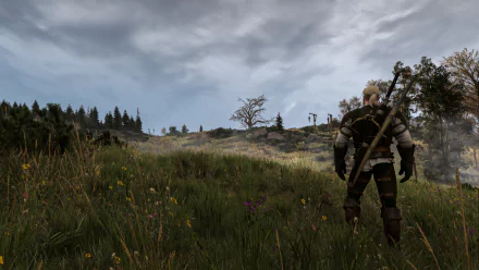  The Witcher 3