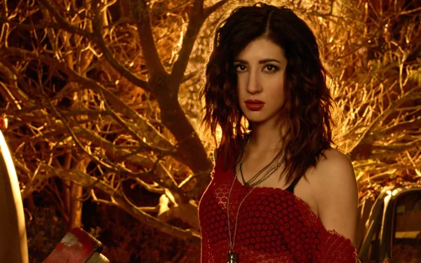 TV Show Ash vs. Evil Dead HD Desktop Wallpaper | Background Image