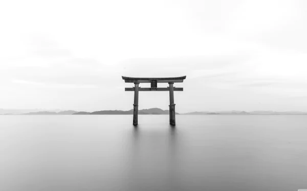 Scenic view of a white Torii Gate in Japan, creating a serene backdrop for an HD desktop wallpaper.