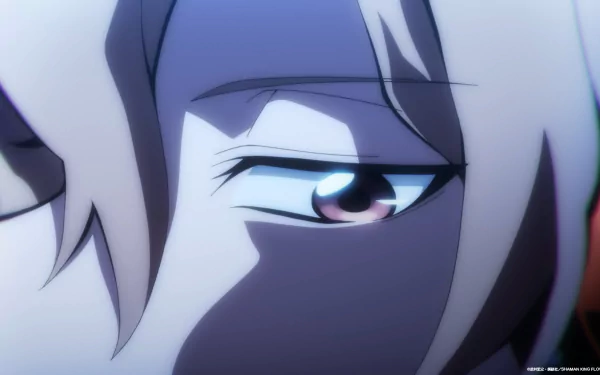 Close-up anime character eye from Shaman King Flowers, HD desktop wallpaper background.