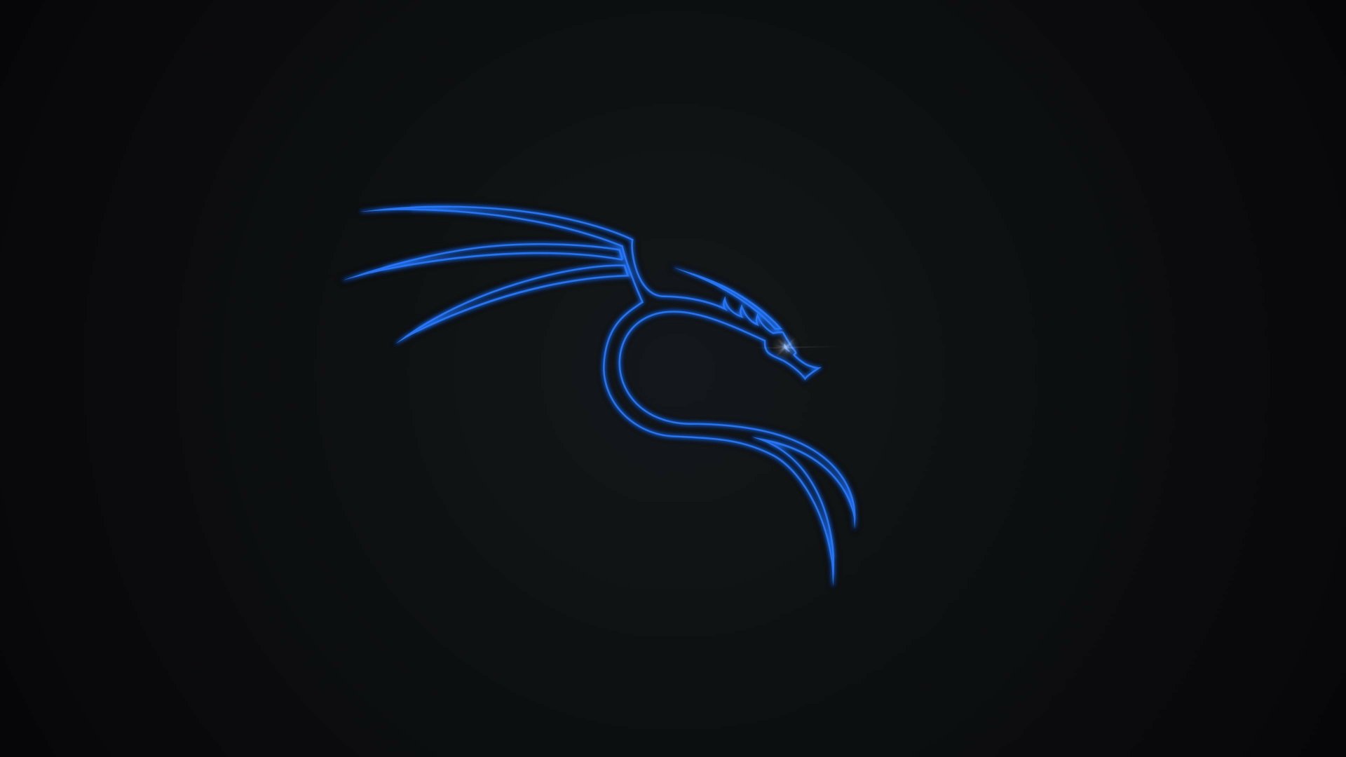 Kali Linux Dragon - HD Technology Wallpaper