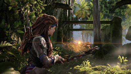 HD desktop wallpaper featuring Aloy from the video game Horizon Forbidden West, set in a lush jungle environment with sunlight filtering through the foliage.