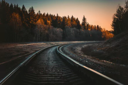 Railroad tracks curving through a forested landscape during golden hour, HD desktop wallpaper and background.