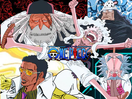  one piece