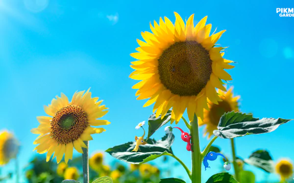 Pikmin HD Desktop Wallpaper | Background Image