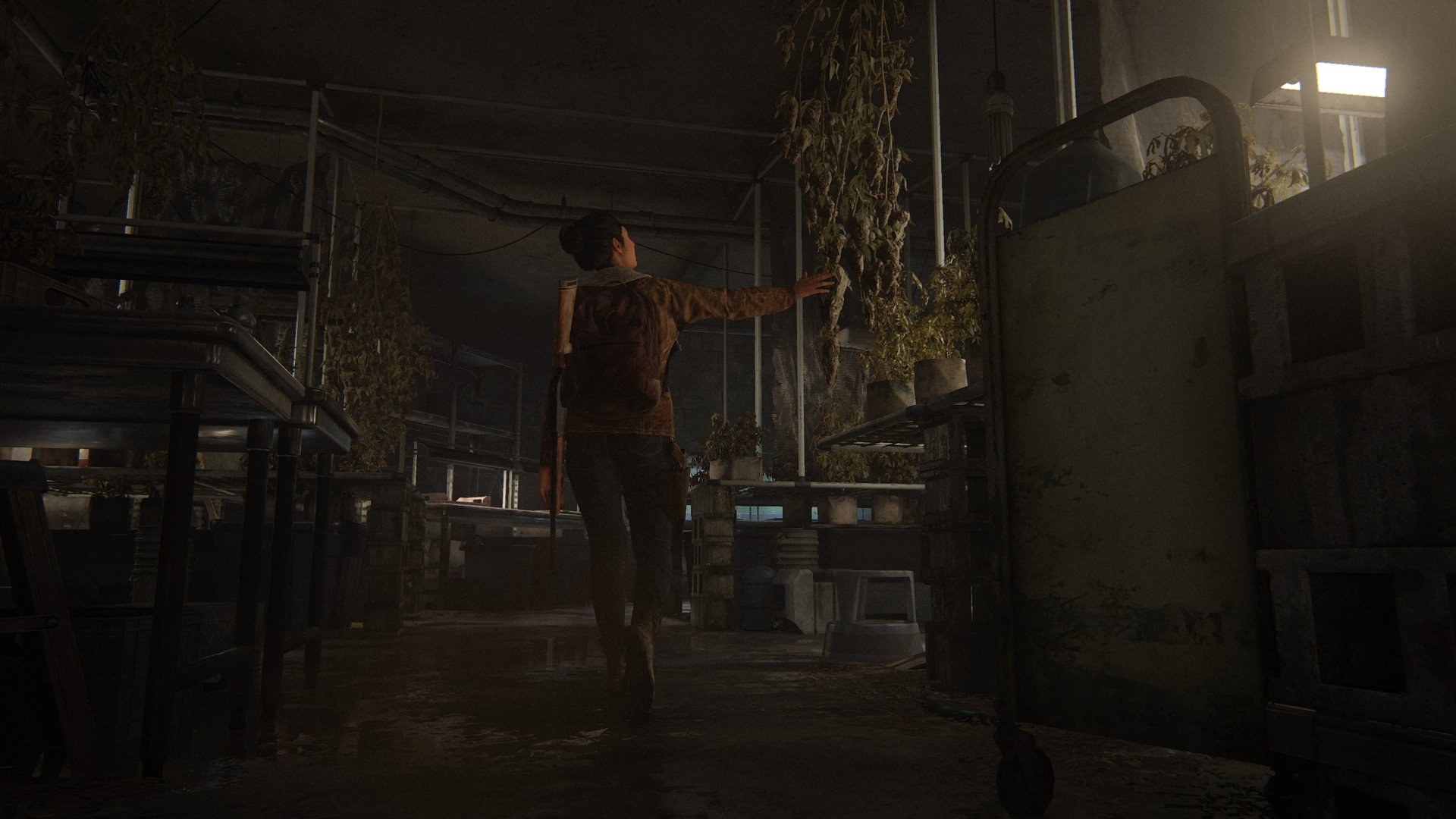 Jackson (Dina) by Tlouuser447