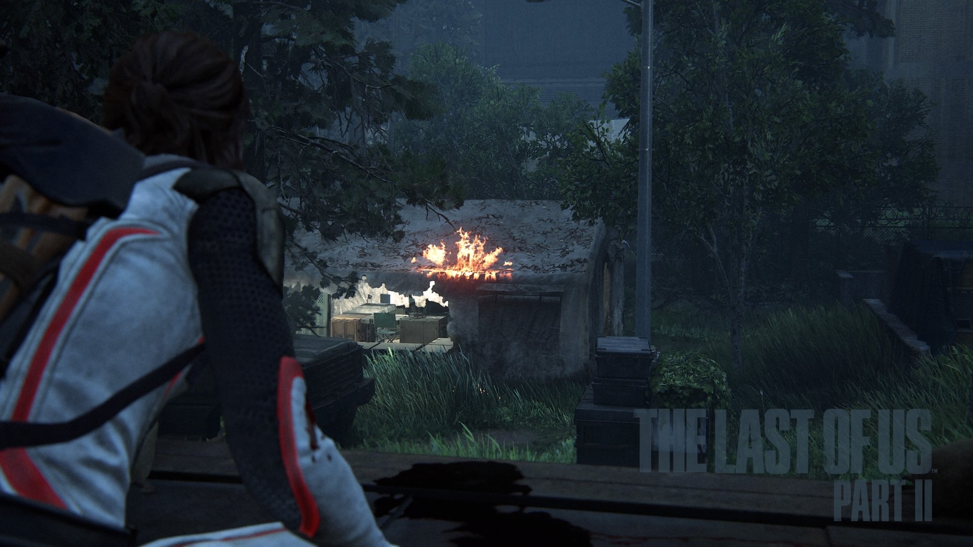 No Return by Tlouuser447