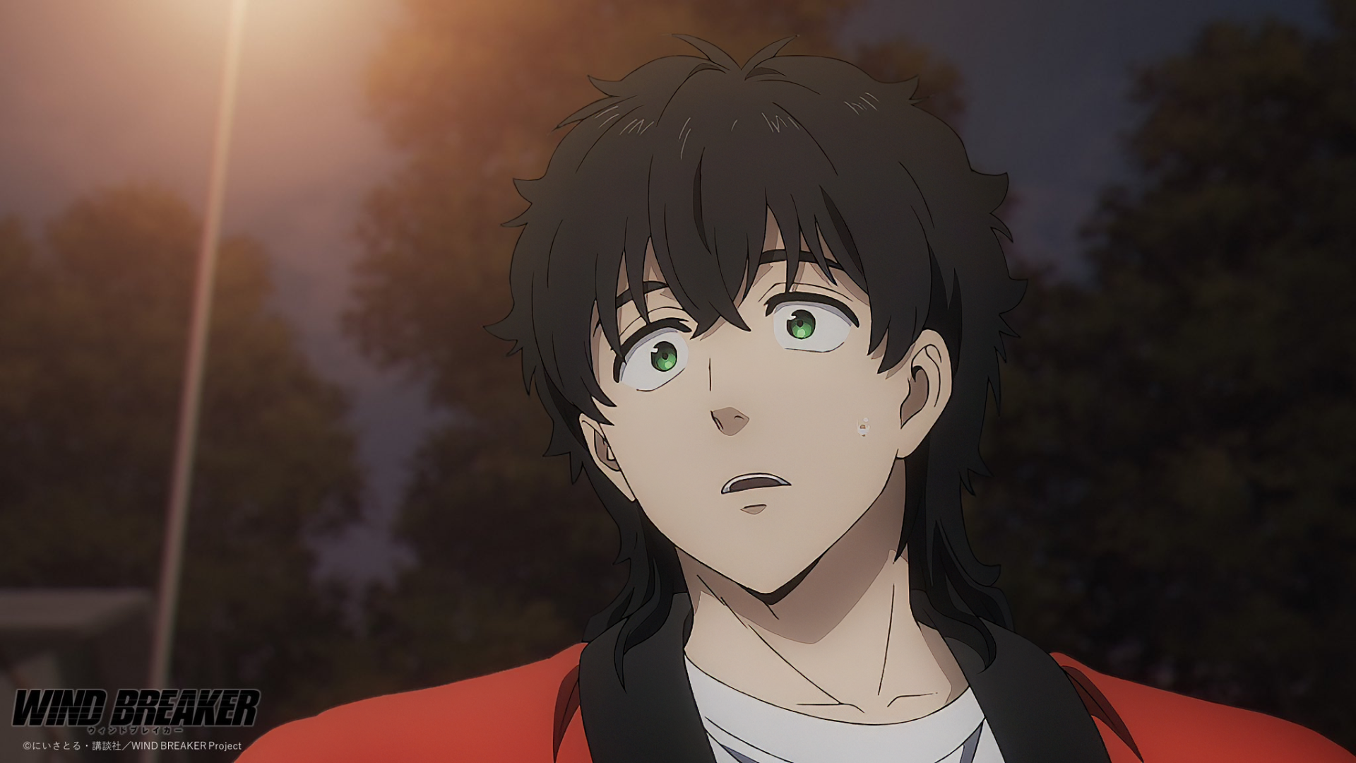 HD desktop wallpaper featuring an anime character from Wind Breaker, with green eyes and a surprised expression, against a dusk background and streetlight glow.