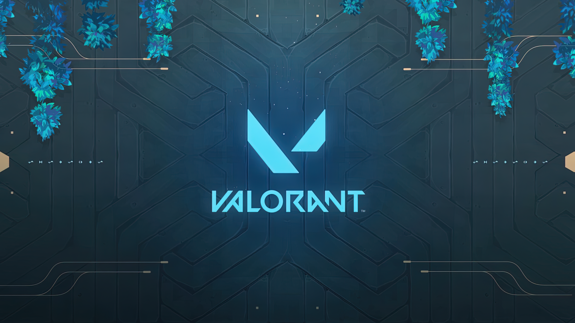 Download Valorant HD Wallpaper