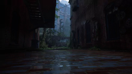  Stalkerville scenery (seattle)