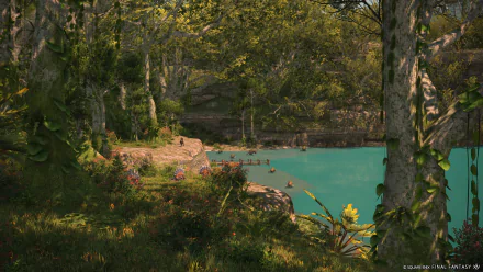 HD desktop wallpaper featuring a serene landscape from Final Fantasy XIV: Dawntrail, showcasing a lush forest and tranquil turquoise waters with rich, detailed flora and natural scenery.