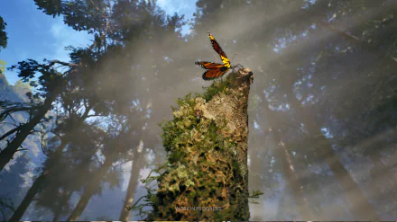 HD wallpaper and background of a forest scene from the video game Empire of the Ants, featuring a butterfly perched on a moss-covered tree stump with sunlight filtering through the trees.