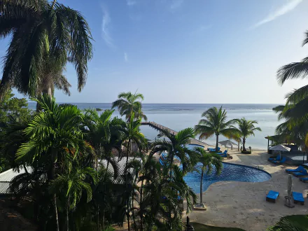 A serene tropical resort with palm trees, a pool, and ocean view under a clear blue sky, captured in vibrant detail as a 4K Ultra HD PC desktop wallpaper.