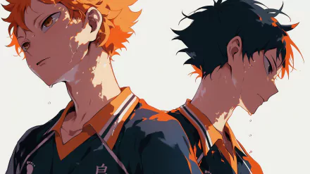 HD desktop wallpaper featuring Shōyō Hinata and Yū Nishinoya from the anime Haikyū!!. Both characters are in their volleyball uniforms, with intense and determined expressions.