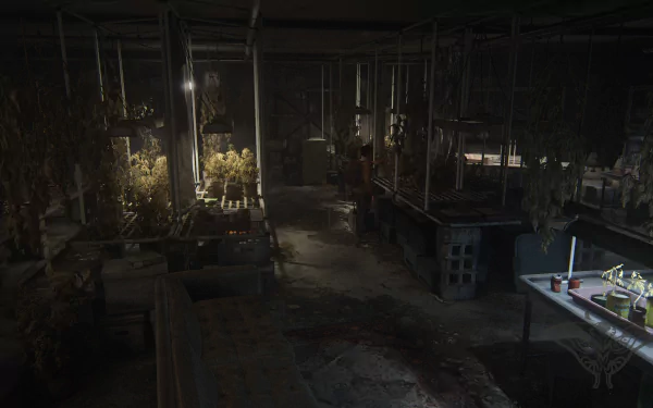 4K Ultra HD PC desktop wallpaper of Dina (The Last of Us) from The Last of Us Part II standing in a dim, overgrown indoor grow room with hanging plants and scattered workbenches.
