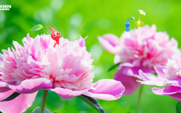 Pikmin HD Desktop Wallpaper | Background Image