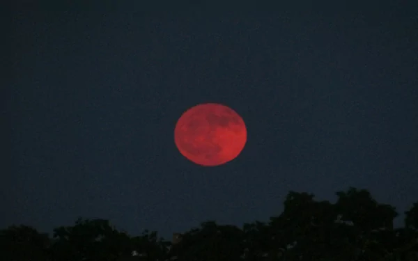  Strawberry full summer solstice Moon June 21st, 2024.