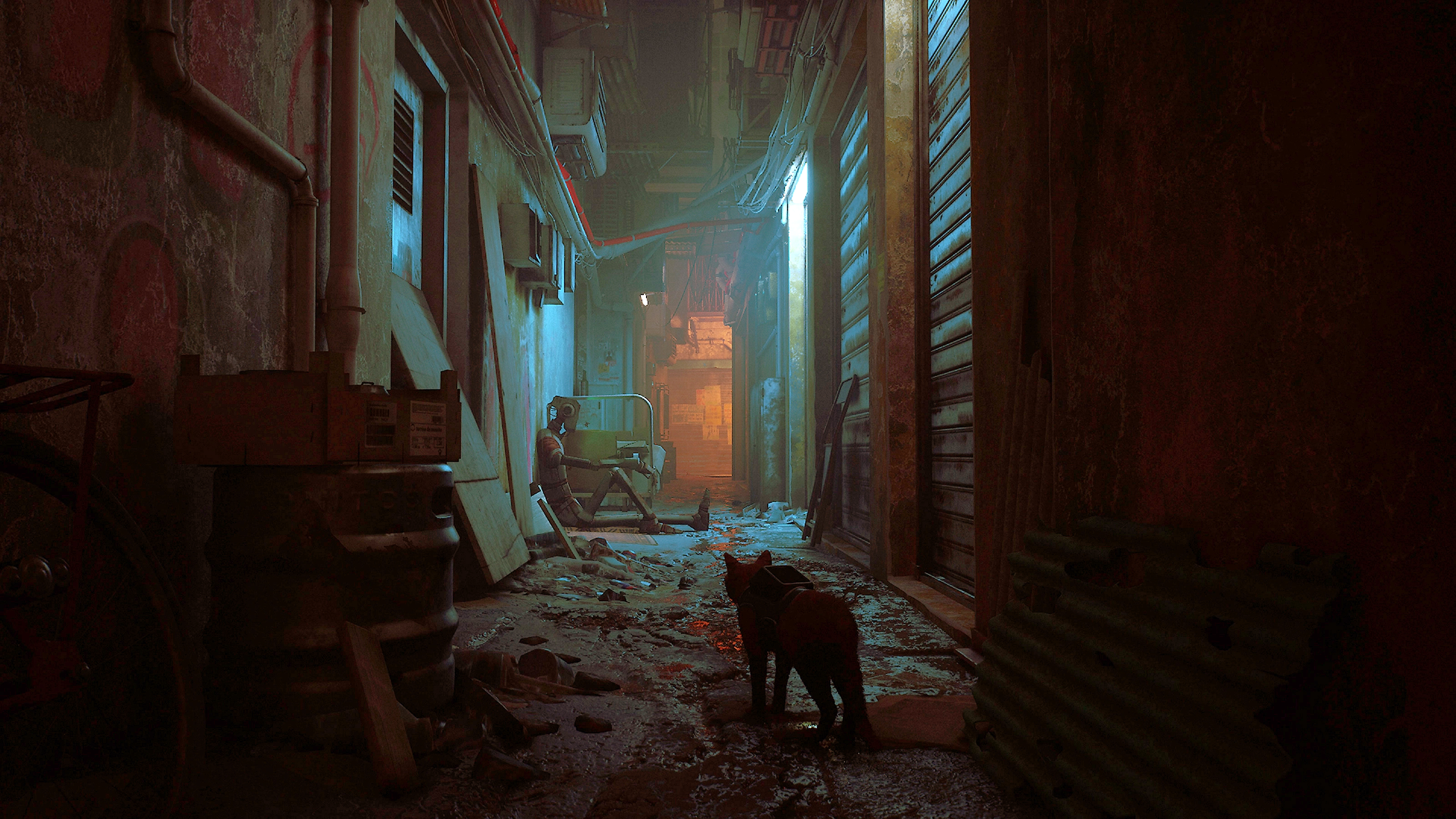 Download Stray HD Wallpaper