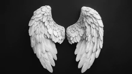 A stunning HD wallpaper featuring intricate angel wings in white against a dark background, evoking a sense of fantasy and ethereal beauty.