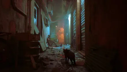 Stray HD Desktop Wallpaper | Background Image