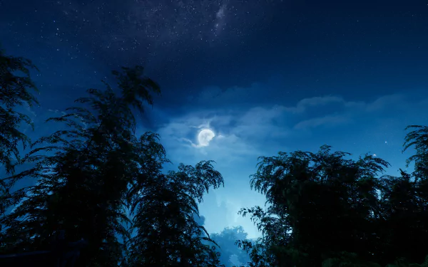 A serene night sky featuring a glowing moon amidst clouds, surrounded by silhouettes of trees, inspired by the video game Sword and Fairy 7. 4K Ultra HD quality wallpaper.