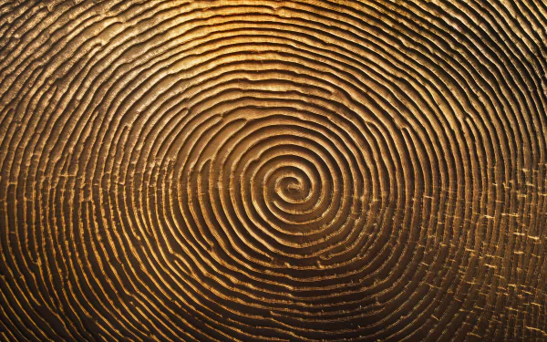 A detailed fingerprint design in high definition, serving as a stylish desktop wallpaper and background, adding a unique touch to your digital workspace.
