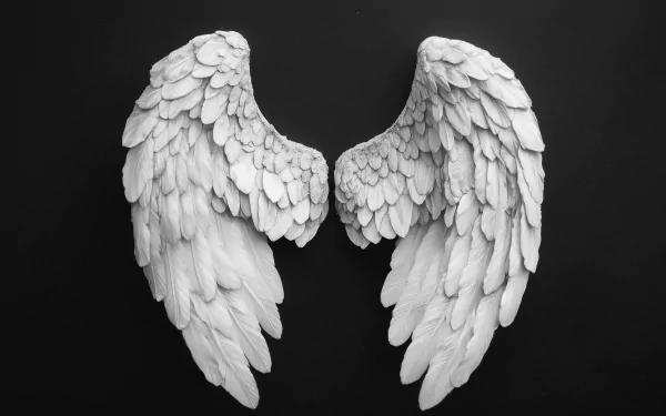 A stunning HD wallpaper featuring intricate angel wings in white against a dark background, evoking a sense of fantasy and ethereal beauty.