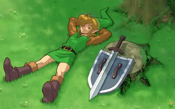 The Legend of Zelda Link HD Desktop Wallpaper | Background Image