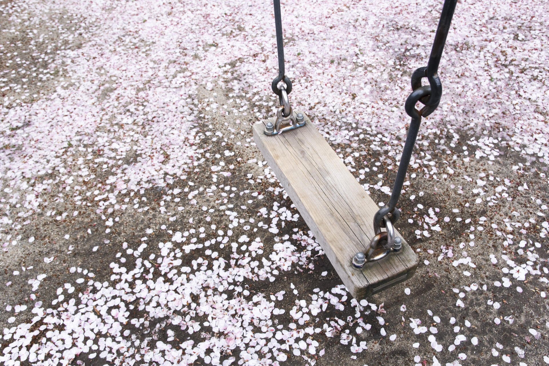 Download Swing 4k Ultra HD Wallpaper