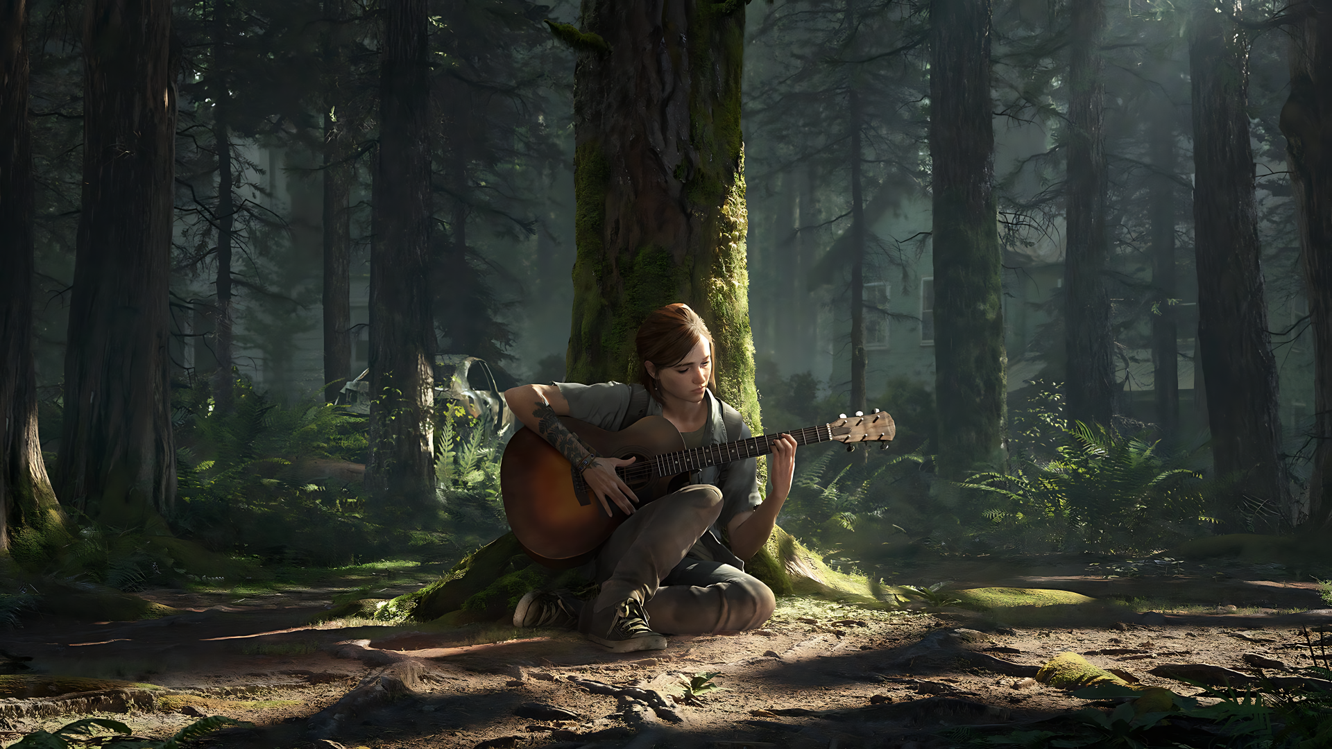 Download The Last Of Us Part II 8k Ultra HD Wallpaper