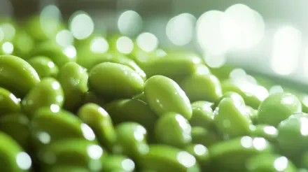 Close-up of glossy green edamame with a soft-focus background, showcasing their vibrant color and texture. This image serves as a 4K Ultra HD desktop wallpaper and background.