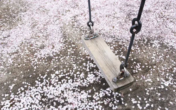 swing HD Desktop Wallpaper | Background Image