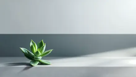 A vibrant succulent sits gracefully on a sleek, minimalistic surface, illuminated by soft light, creating an appealing 4K Ultra HD desktop wallpaper and background.