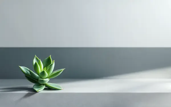 A vibrant succulent sits gracefully on a sleek, minimalistic surface, illuminated by soft light, creating an appealing 4K Ultra HD desktop wallpaper and background.