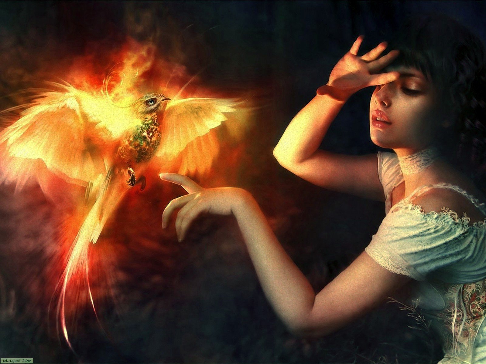 A stunning HD fantasy wallpaper featuring a woman in soft light reaching towards a glowing, mystical bird with fiery wings, set against a dark, ethereal background.