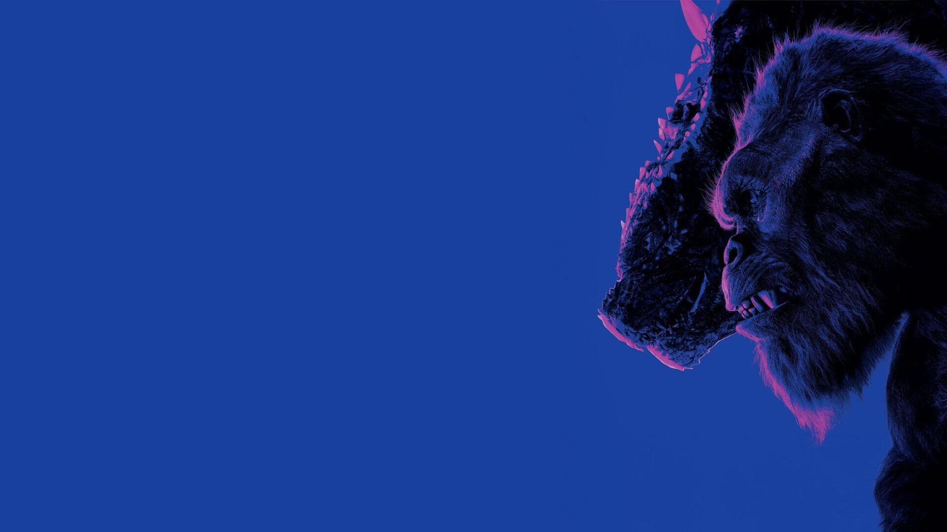 Godzilla x Kong: The New Empire 4K Ultra HD PC wallpaper — neon-lit profiles of Godzilla and Kong on a vivid blue background.