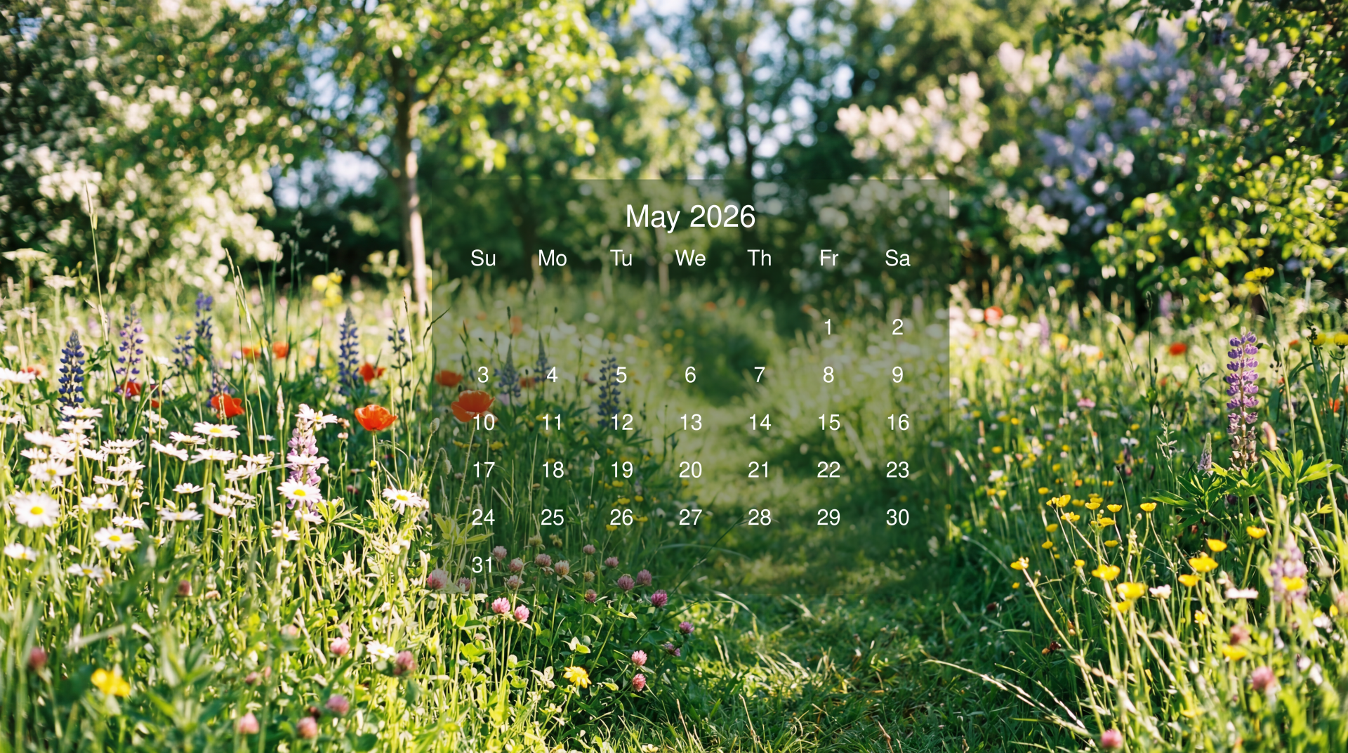 May 2026 Calendar overlaid on 5K Ultra HD PC desktop wallpaper: sunlit wildflower meadow path with blurred trees, soft dappled light and scattered colorful blooms.